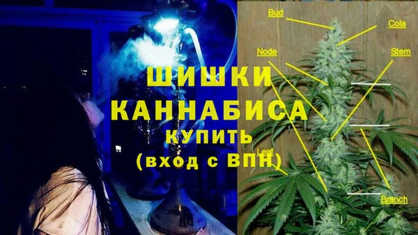 дмт Балахна
