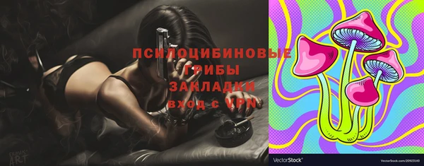 дмт Балахна