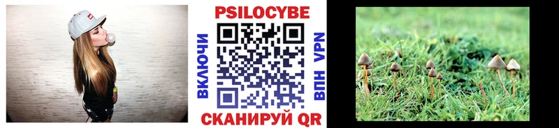 Псилоцибиновые грибы Psilocybine cubensis  Заречный 